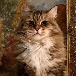 Meet your Posher, Kelly